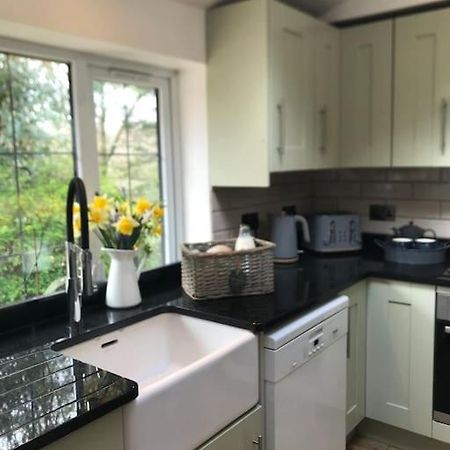 Coombe Edge Cottage Honiton Zewnętrze zdjęcie