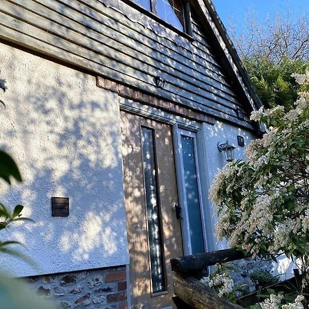 Coombe Edge Cottage Honiton Zewnętrze zdjęcie