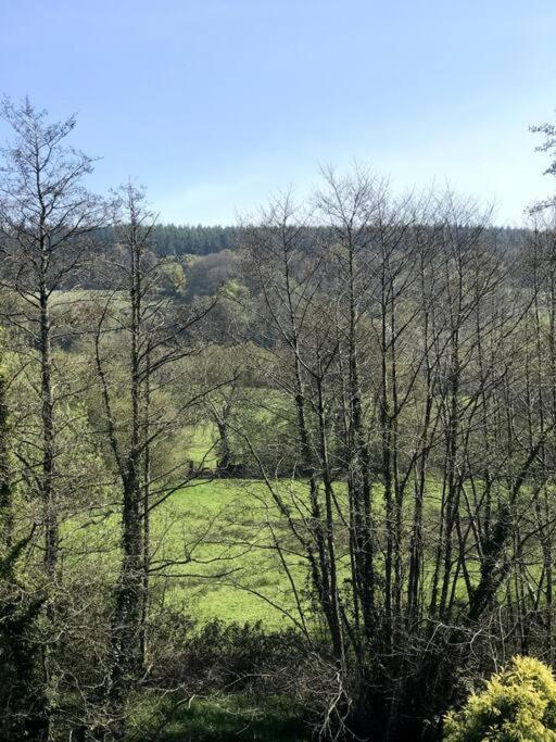 Coombe Edge Cottage Honiton Zewnętrze zdjęcie
