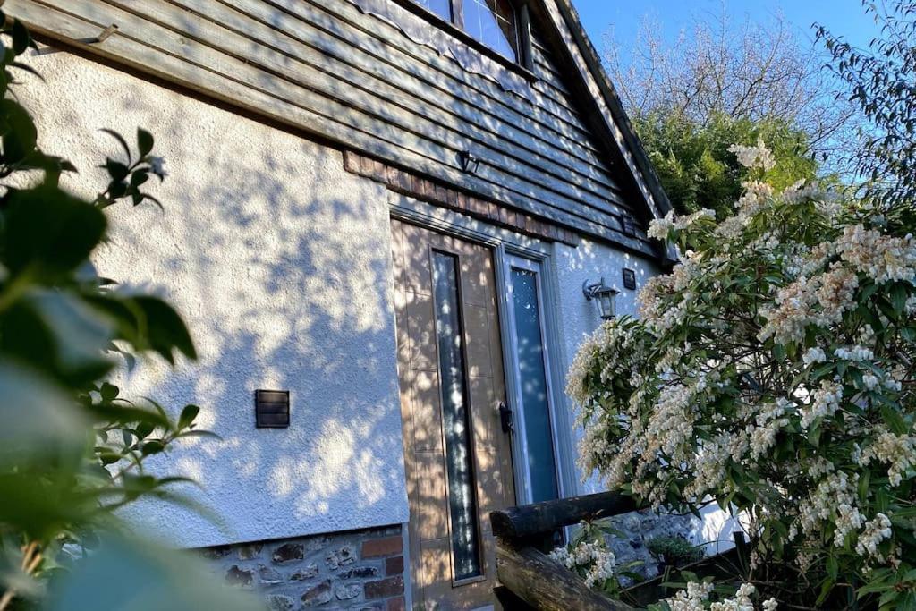 Coombe Edge Cottage Honiton Zewnętrze zdjęcie